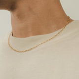 3mm Rolo Link Chain - Gold - Cernucci